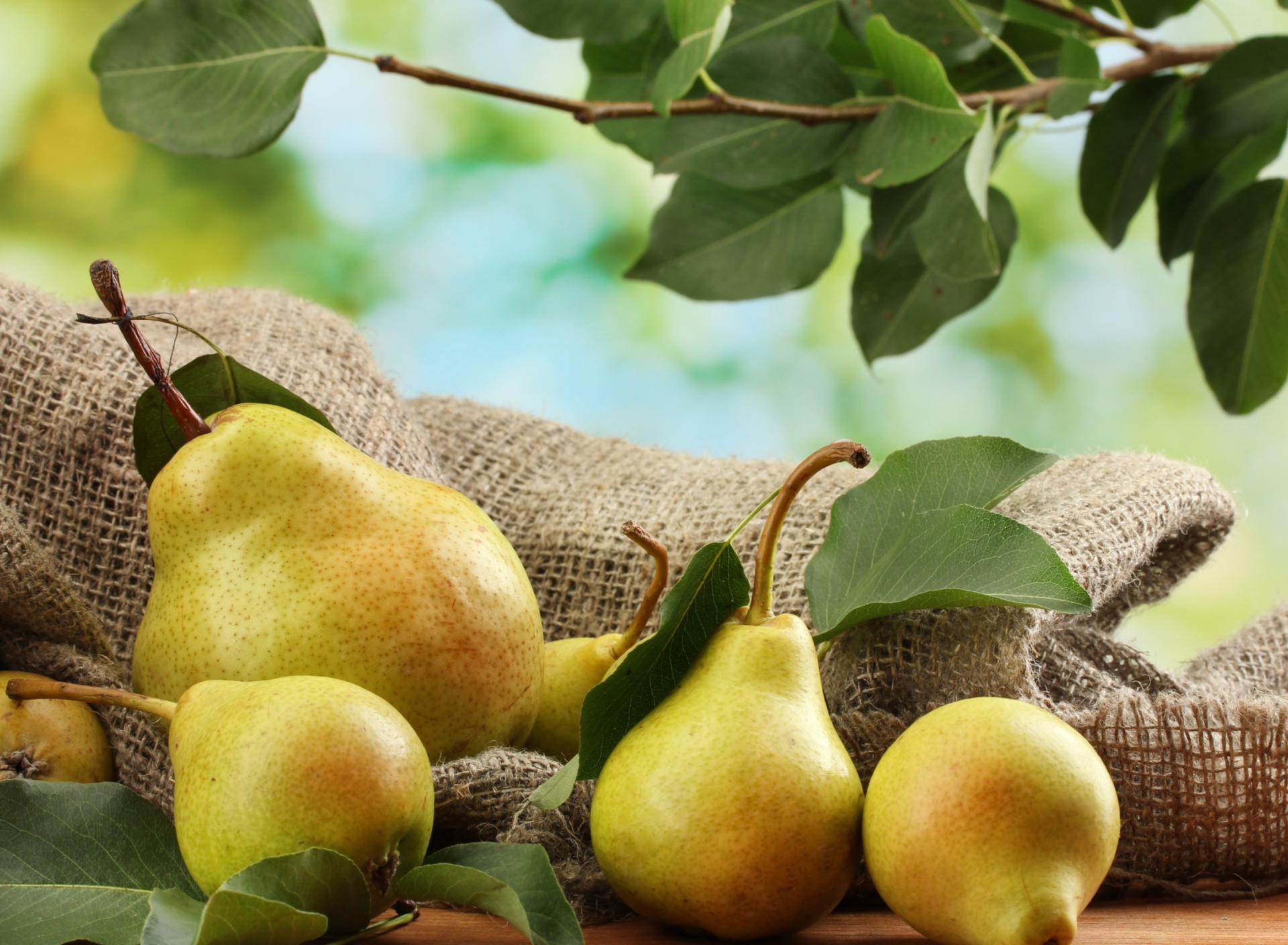 Fondo de pantalla Fresh Pears With Leaves 1920x1408