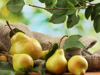 Обои Fresh Pears With Leaves 320x240