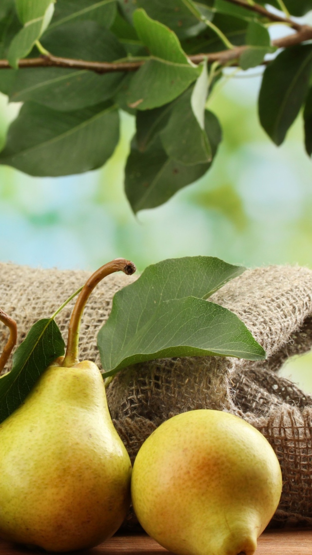 Fresh Pears With Leaves wallpaper 640x1136