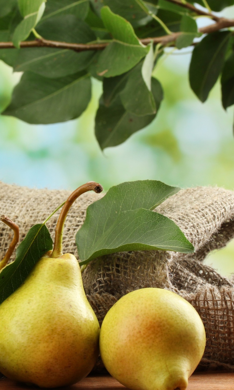 Das Fresh Pears With Leaves Wallpaper 768x1280