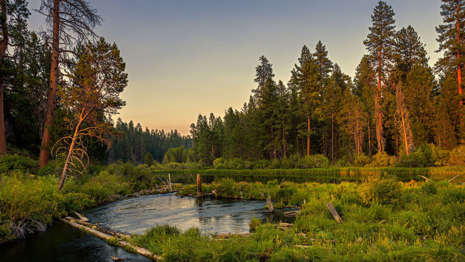 Обои Russian Rural Landscape 1600x900