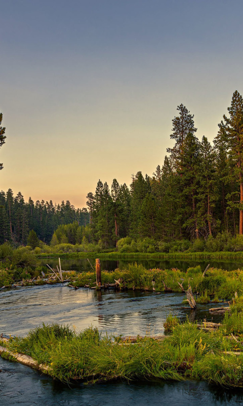 Das Russian Rural Landscape Wallpaper 480x800