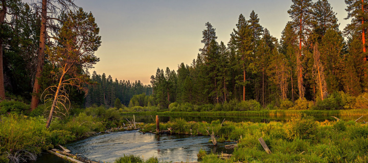 Russian Rural Landscape wallpaper 720x320