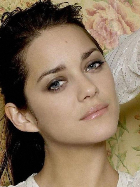 Обои Marion Cotillard 480x640