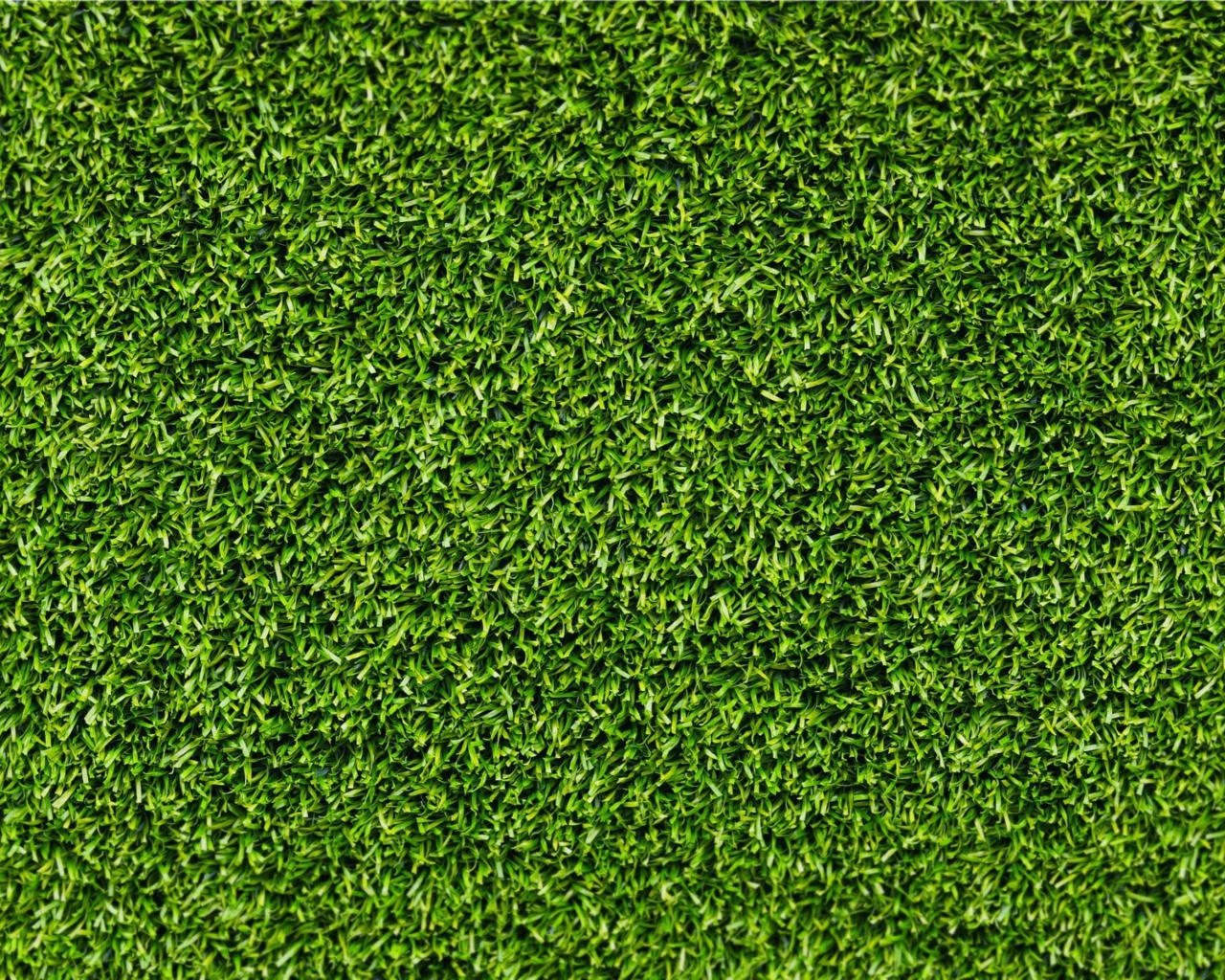 Das Short Green Grass Wallpaper 1280x1024
