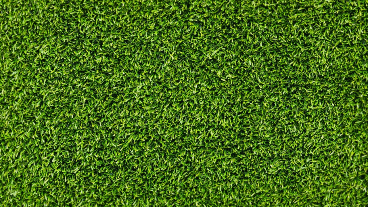 Short Green Grass wallpaper 1280x720