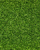 Обои Short Green Grass 128x160