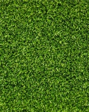 Screenshot №1 pro téma Short Green Grass 128x160