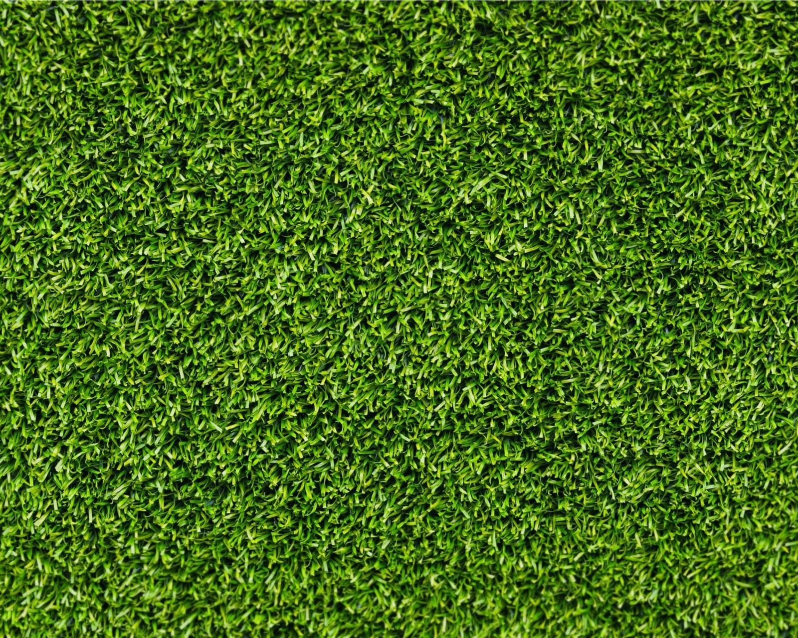 Das Short Green Grass Wallpaper 1600x1280