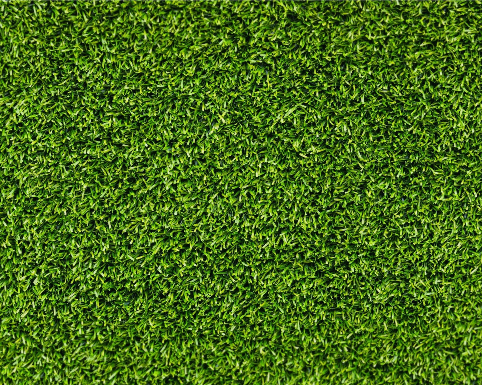 Screenshot №1 pro téma Short Green Grass 1600x1280