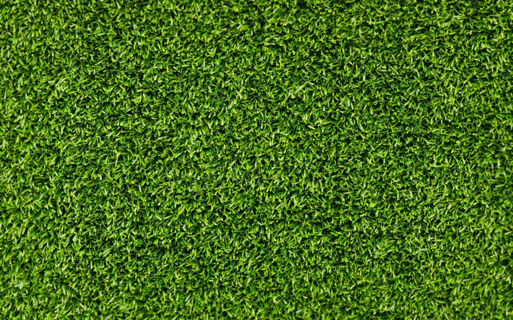 Short Green Grass screenshot #1 1680x1050