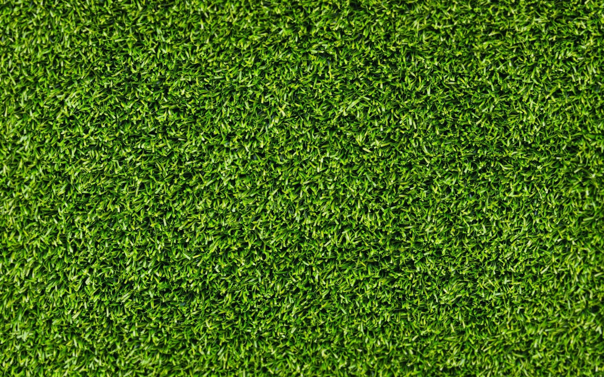 Short Green Grass wallpaper 1920x1200