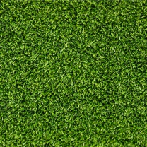 Das Short Green Grass Wallpaper 208x208