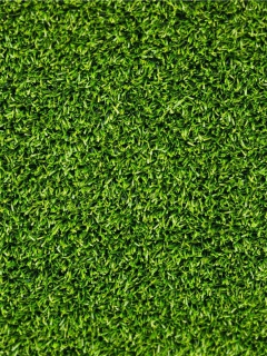 Fondo de pantalla Short Green Grass 240x320