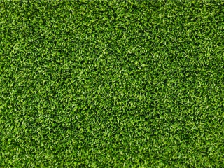 Das Short Green Grass Wallpaper 320x240
