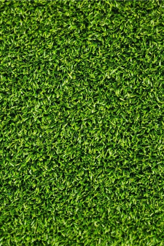 Fondo de pantalla Short Green Grass 320x480