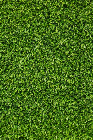 Screenshot №1 pro téma Short Green Grass 320x480