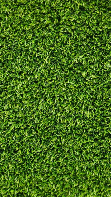 Обои Short Green Grass 360x640