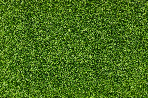 Das Short Green Grass Wallpaper 480x320