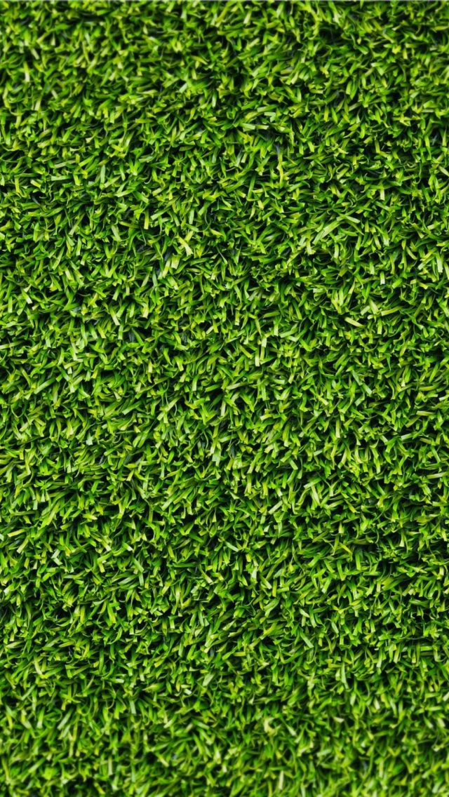 Fondo de pantalla Short Green Grass 640x1136