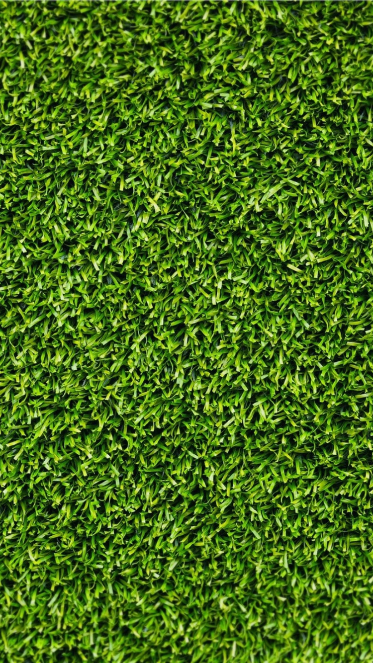 Short Green Grass wallpaper 750x1334