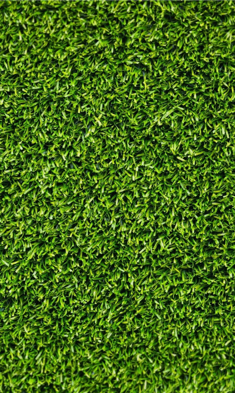 Short Green Grass wallpaper 768x1280