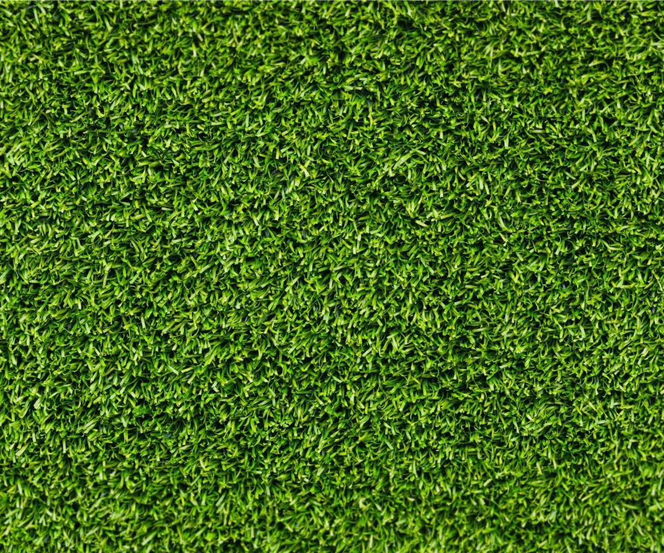 Das Short Green Grass Wallpaper 960x800