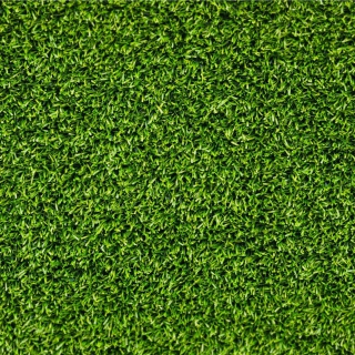 Short Green Grass sfondi gratuiti per iPad