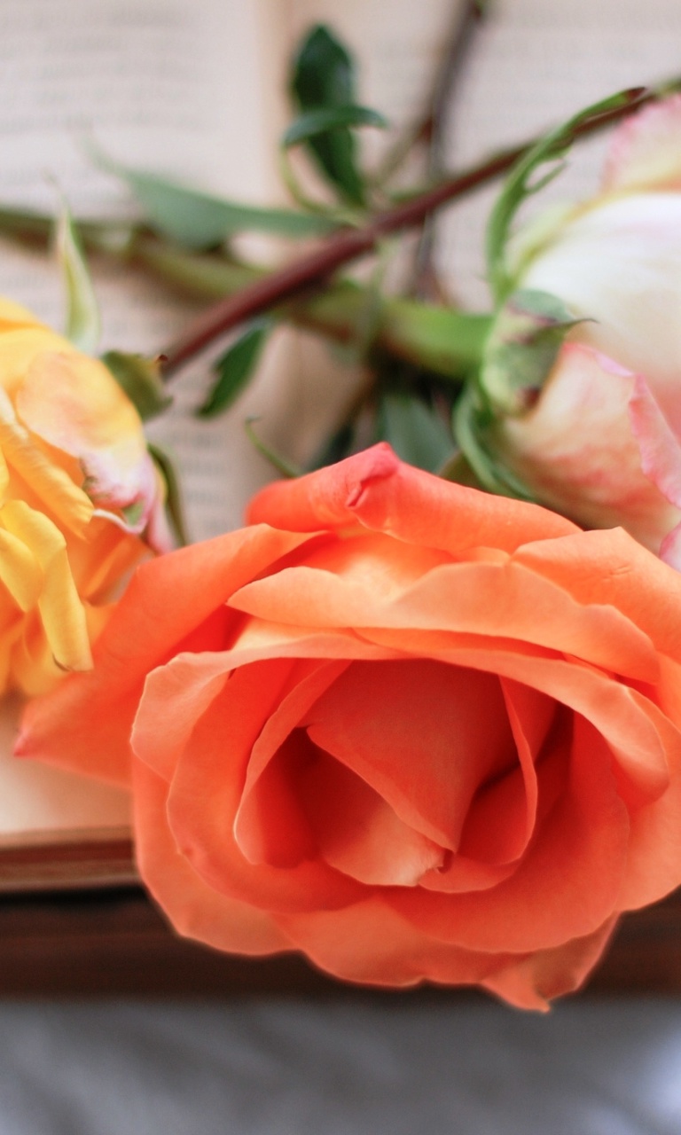 Yellow and Red Roses screenshot #1 768x1280