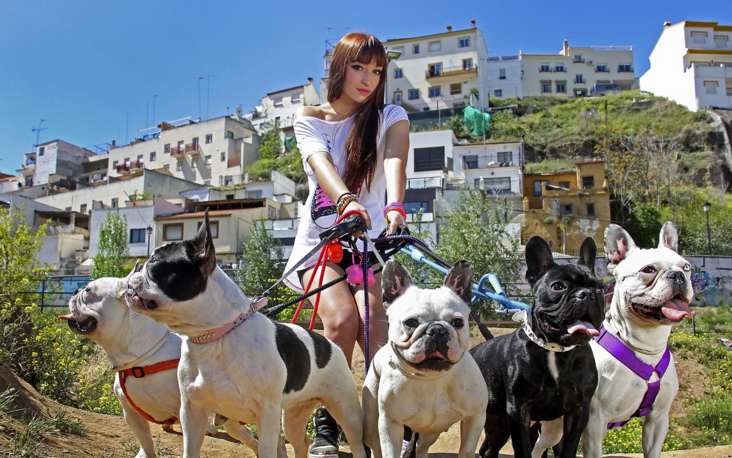 Fondo de pantalla Girl Walking With Bulldogs 1440x900