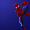 Spider Man wallpaper 128x128