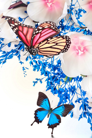 Das Spring  blossom and butterflies Wallpaper 320x480