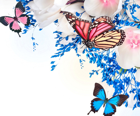 Spring  blossom and butterflies wallpaper 480x400