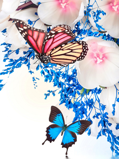 Обои Spring  blossom and butterflies 480x640