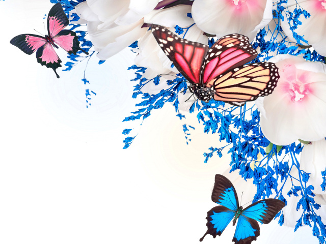 Обои Spring  blossom and butterflies 640x480