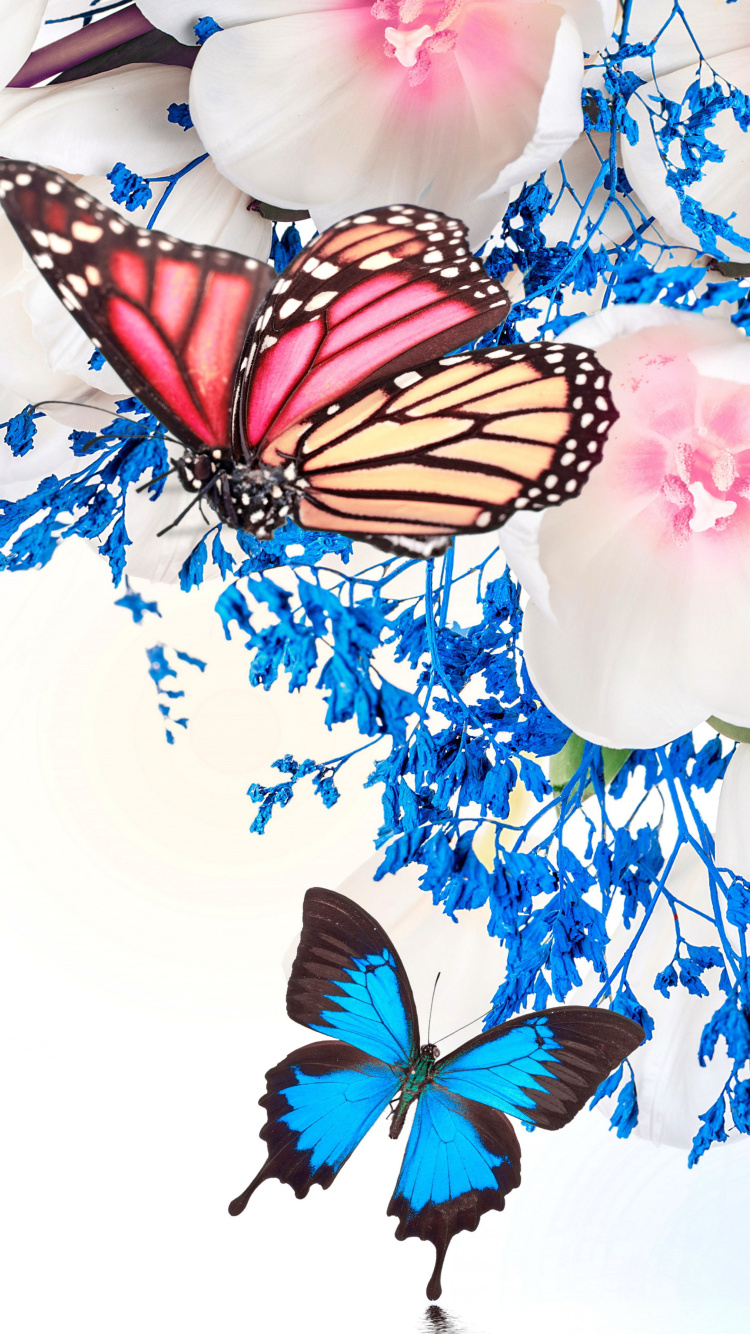 Обои Spring  blossom and butterflies 750x1334