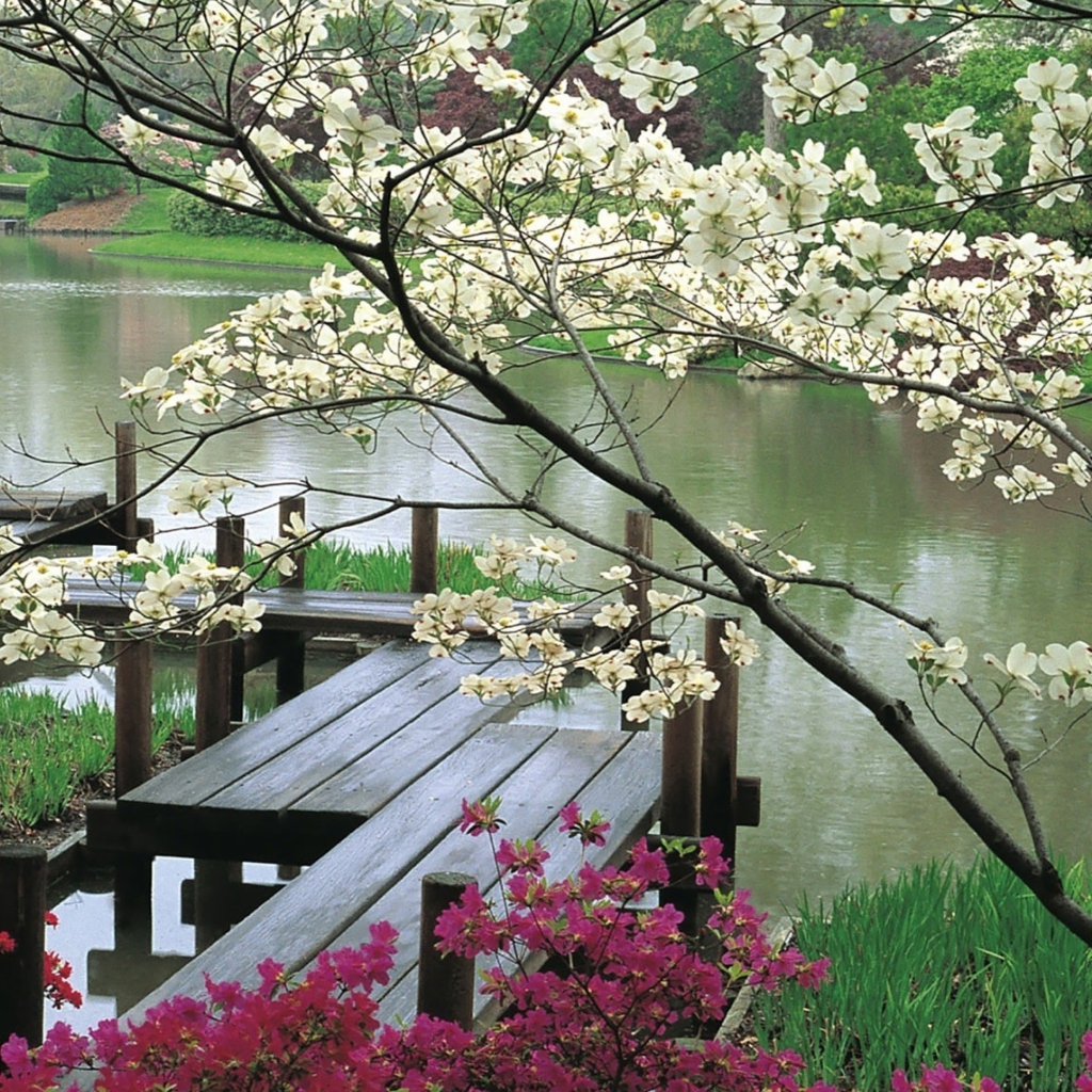 Das Japanese Garden And Lake Wallpaper 1024x1024