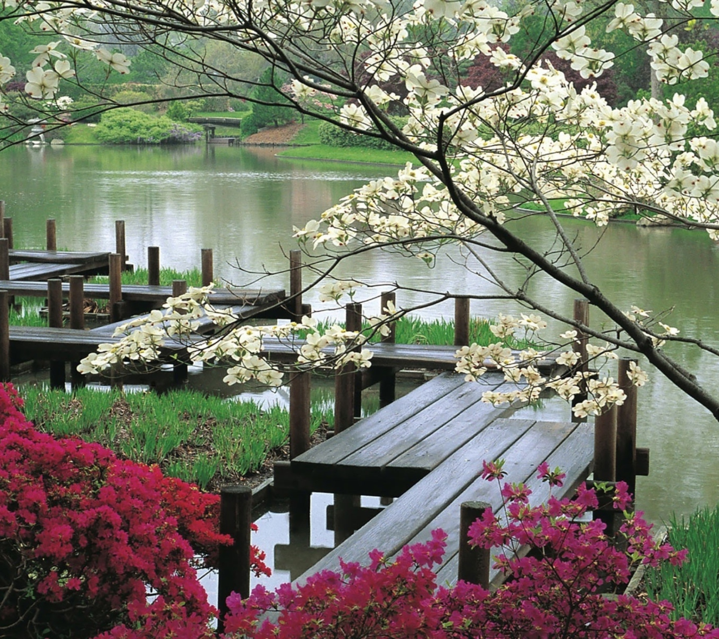 Das Japanese Garden And Lake Wallpaper 1440x1280