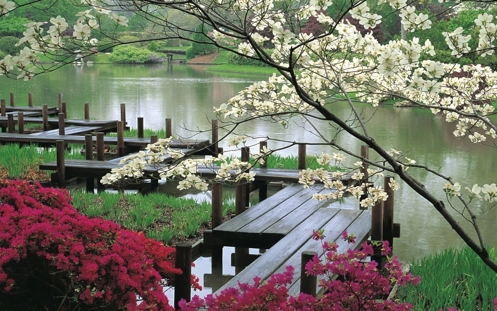 Fondo de pantalla Japanese Garden And Lake 1680x1050
