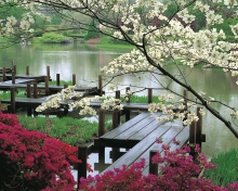 Обои Japanese Garden And Lake 220x176
