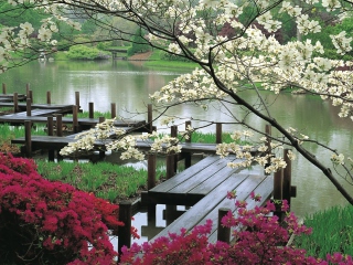 Das Japanese Garden And Lake Wallpaper 320x240