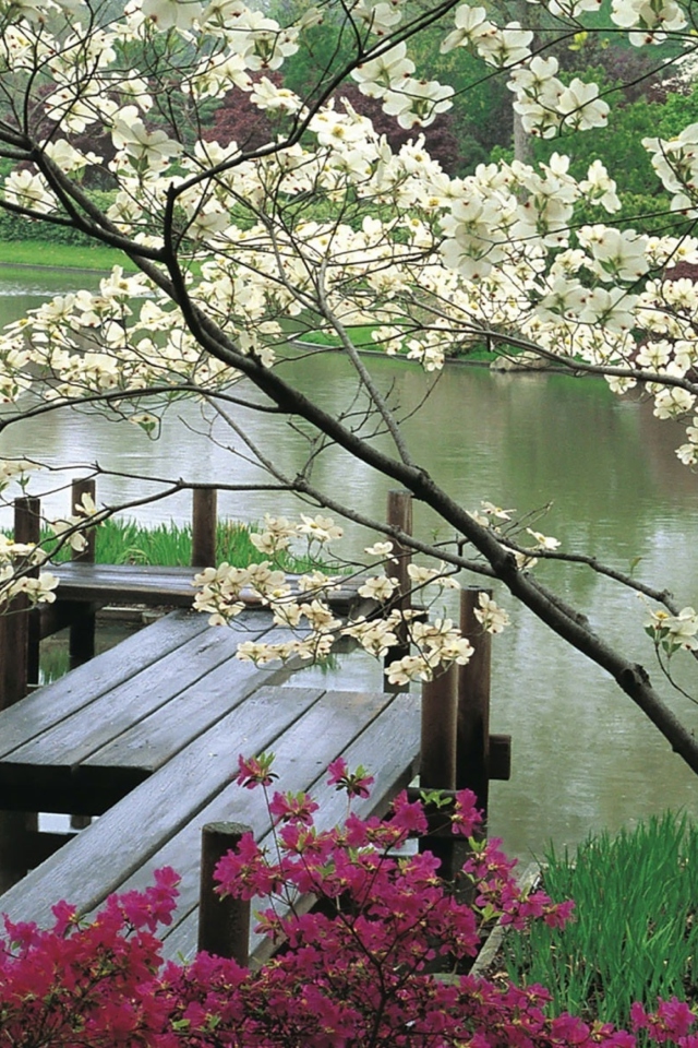 Japanese Garden And Lake wallpaper 640x960