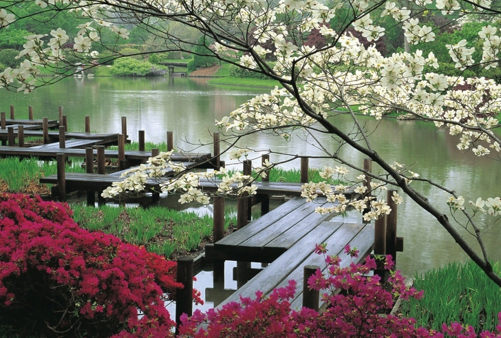 Das Japanese Garden And Lake Wallpaper