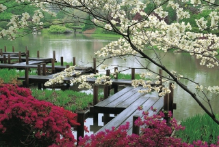 Japanese Garden And Lake papel de parede para celular 