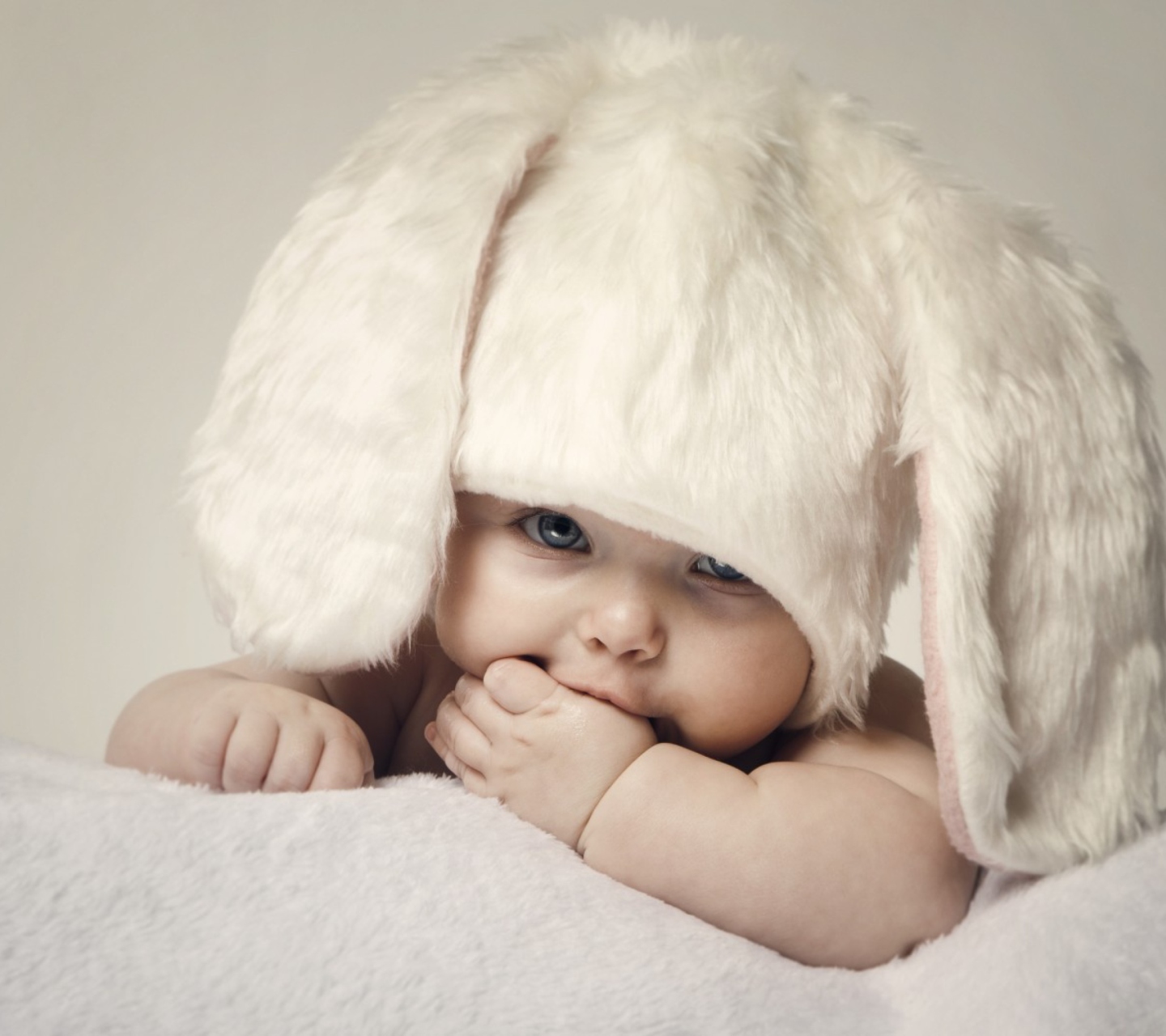 Обои Cute Baby Bunny 1440x1280