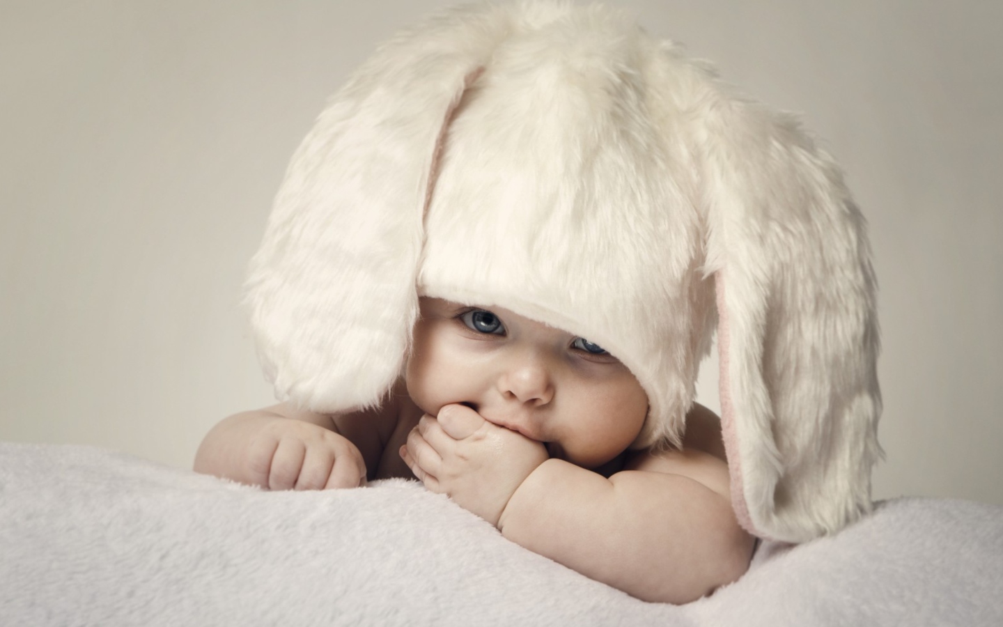 Fondo de pantalla Cute Baby Bunny 1440x900