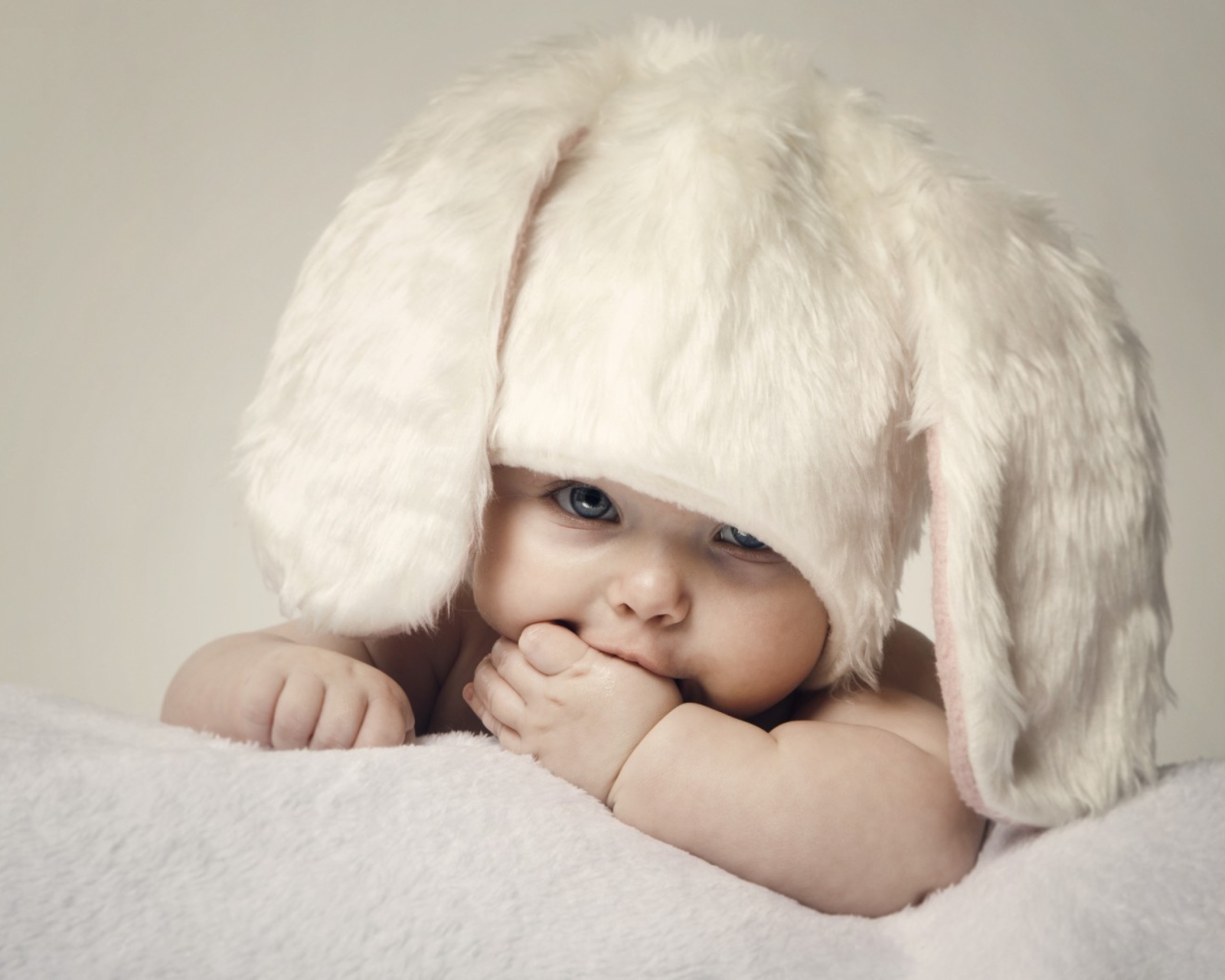 Обои Cute Baby Bunny 1600x1280