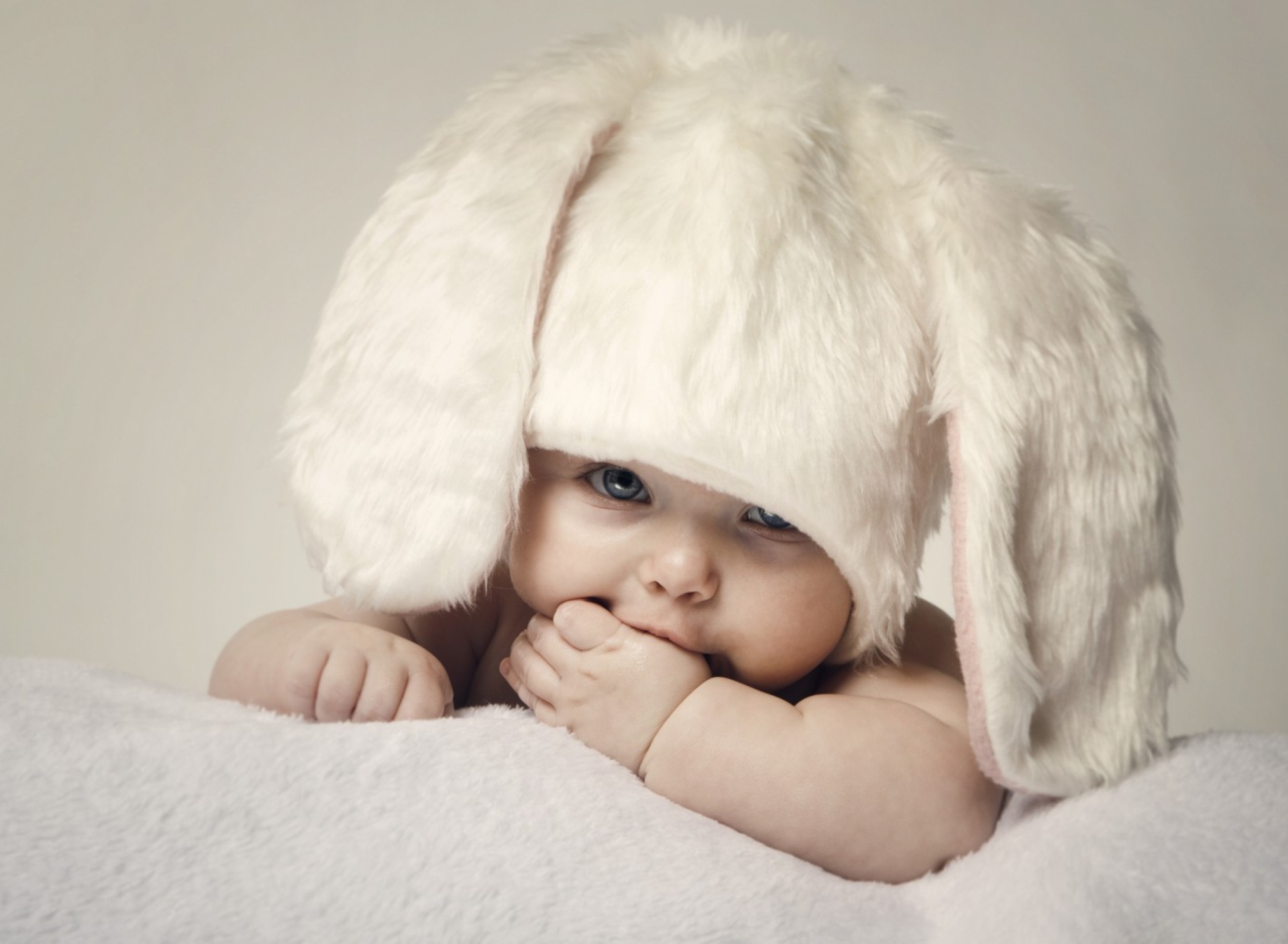 Обои Cute Baby Bunny 1920x1408