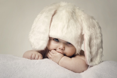 Fondo de pantalla Cute Baby Bunny 480x320