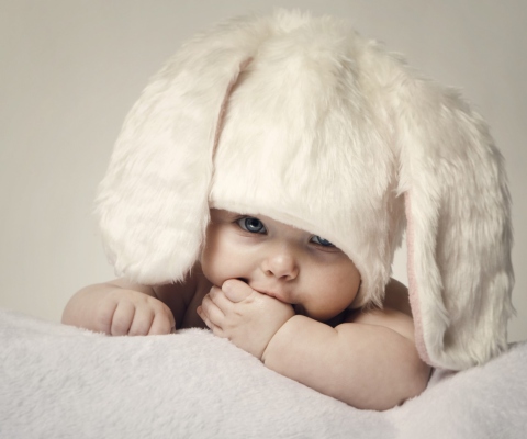 Cute Baby Bunny screenshot #1 480x400